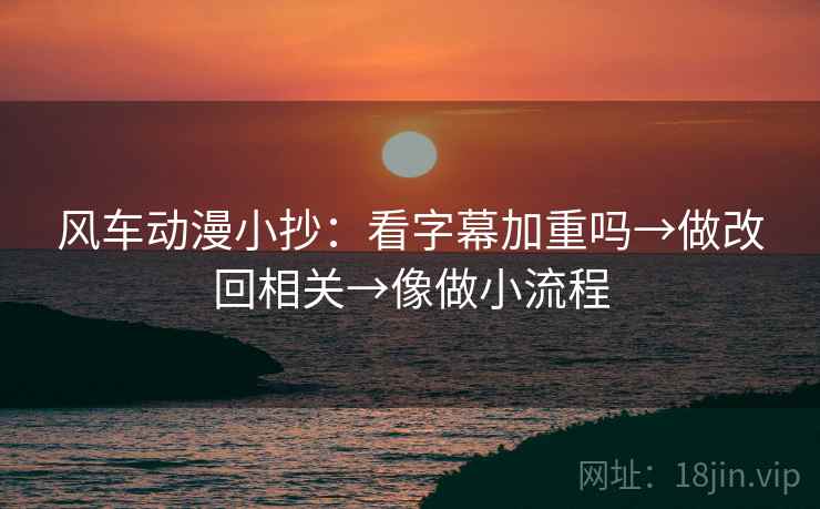 风车动漫小抄：看字幕加重吗→做改回相关→像做小流程